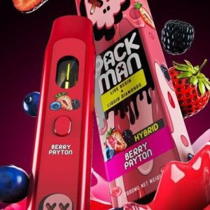 PackMan Berry Payton – 2g Disposable