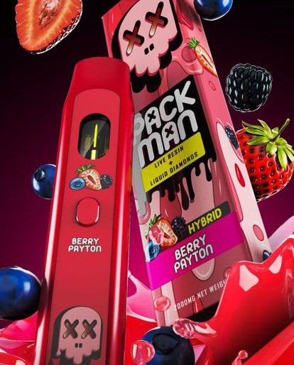 PackMan Berry Payton – 2g Disposable